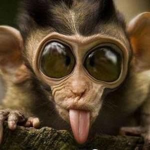 Meet your Posher, Sheila